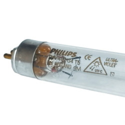XG1067-PHI-1
