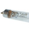 XG1067-PHI-1
