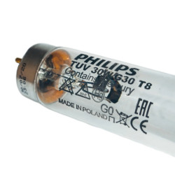 XG1074-PHI-1