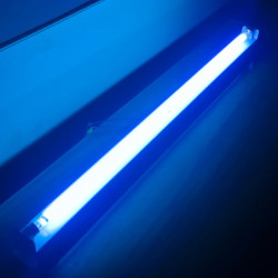 XG1074-PHI-3
